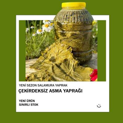 2025 SALAMURA SULTANİYE ÇEKİRDEKSİZ ÜZÜM YAPRAĞI(4,5kg bidon-Net 3 kg yaprak) - 3