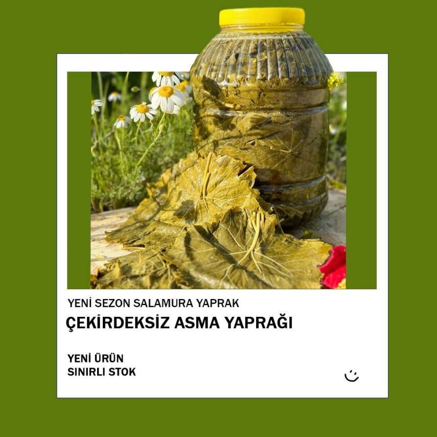 2025 SALAMURA SULTANİYE ÇEKİRDEKSİZ ÜZÜM YAPRAĞI(4,5kg bidon-Net 3 kg yaprak) - 3