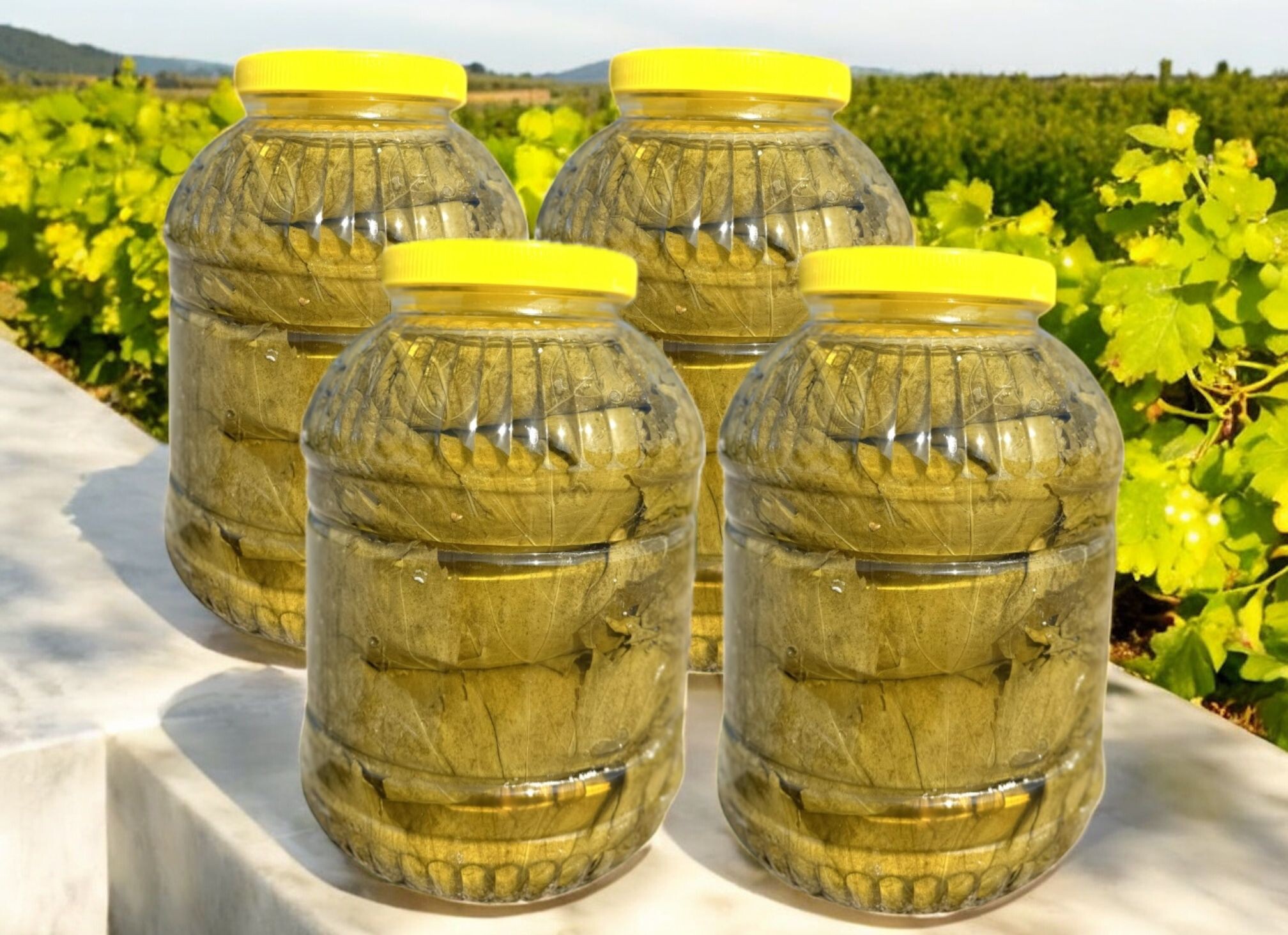 4 LÜ SALAMURA YAPRAK PAKETİ 