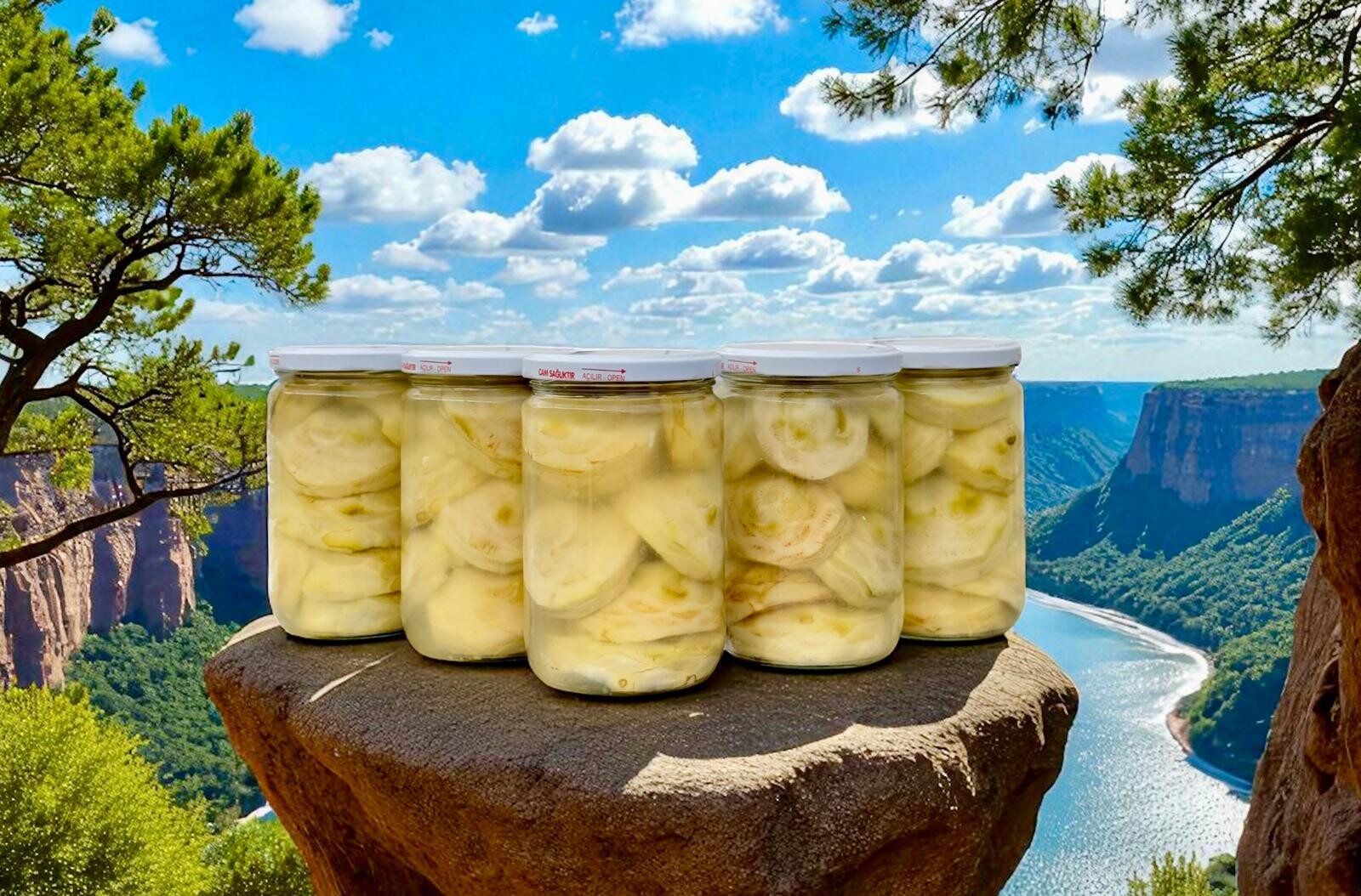 5 Lİ BEBEK ÇANAK ENGİNAR KONSERVESİ PAKETİ 