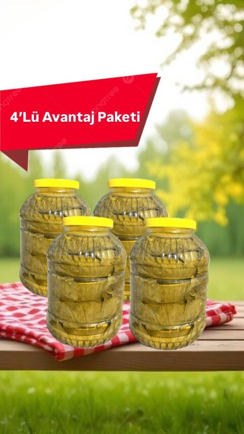 AVANTAJLI 4'LÜ SALAMURA YAPRAK PAKETİ - 1