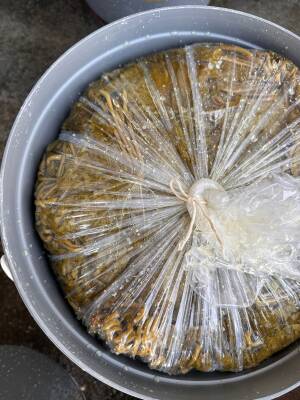 AVANTAJLI SALAMURA SULTANİYE ÇEKİRDEKSİZ ÜZÜM YAPRAĞI 10 KG - Seboş'tan