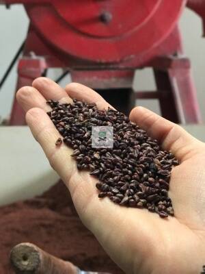 ÇEKİLMİŞ KARA ÜZÜM ÇEKİRDEĞİ - 2