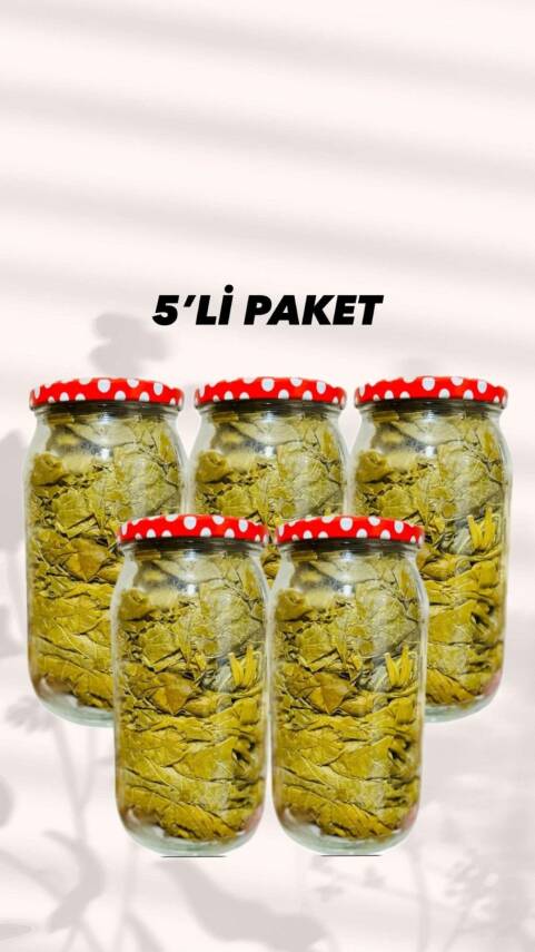 Kuru Basım ( etli sarmalık ) asma yaprağı 5'li paket - 1