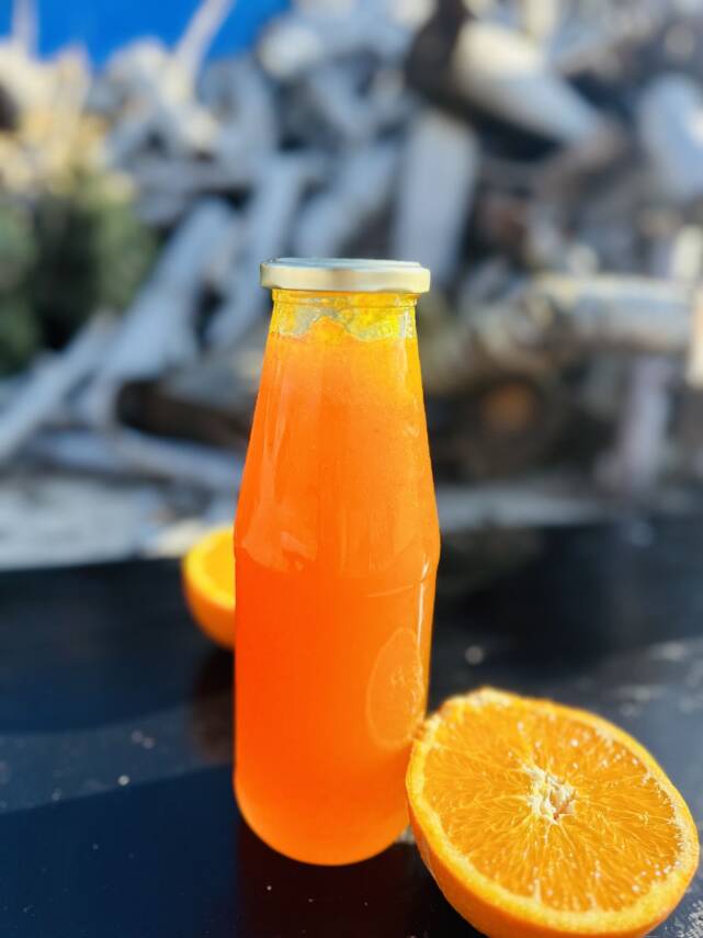 PORTAKAL SUYU (TANELİ) - 1